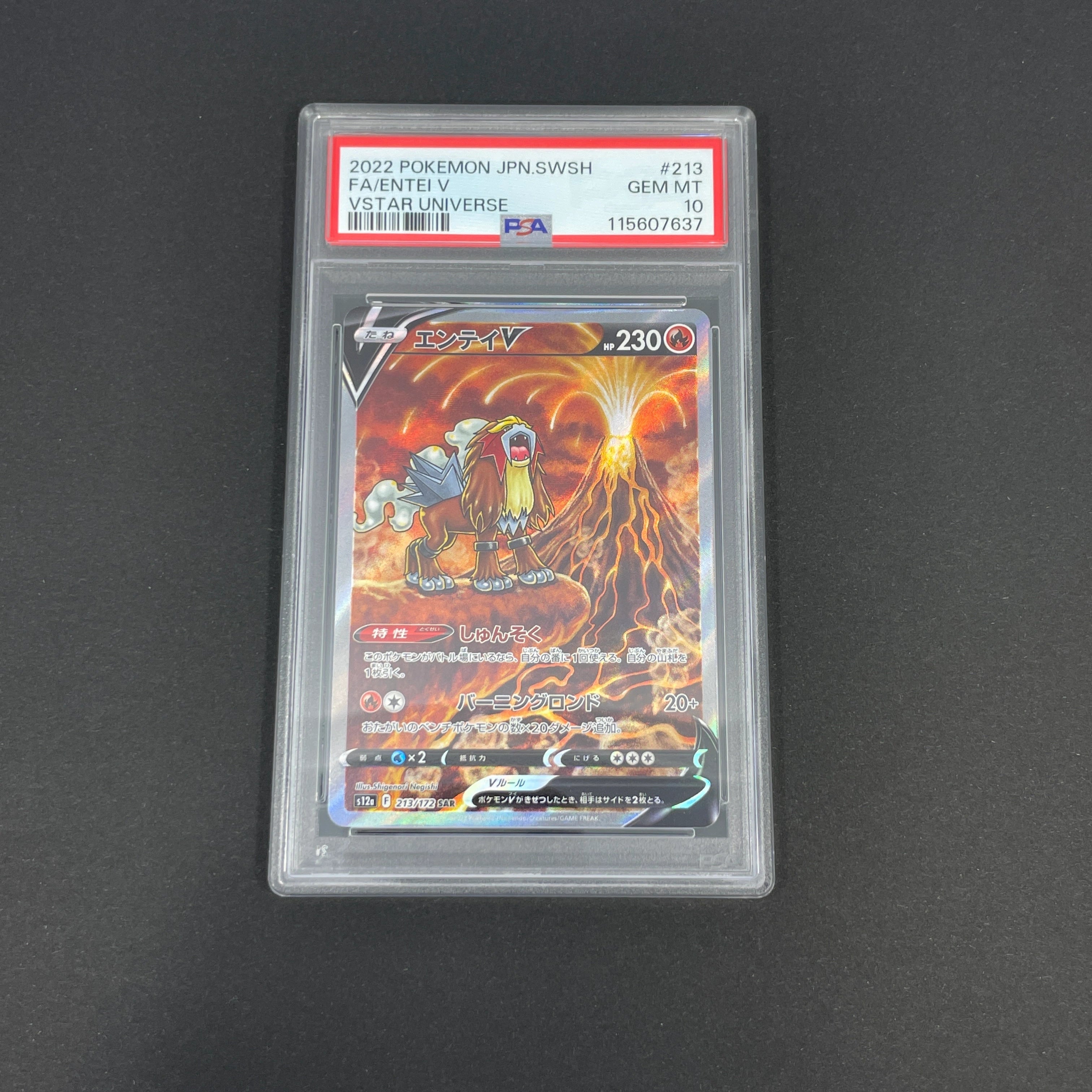 Entei V SAR 213/172 PSA10  Pokemon card VSTAR Universe s12a (1.NM)