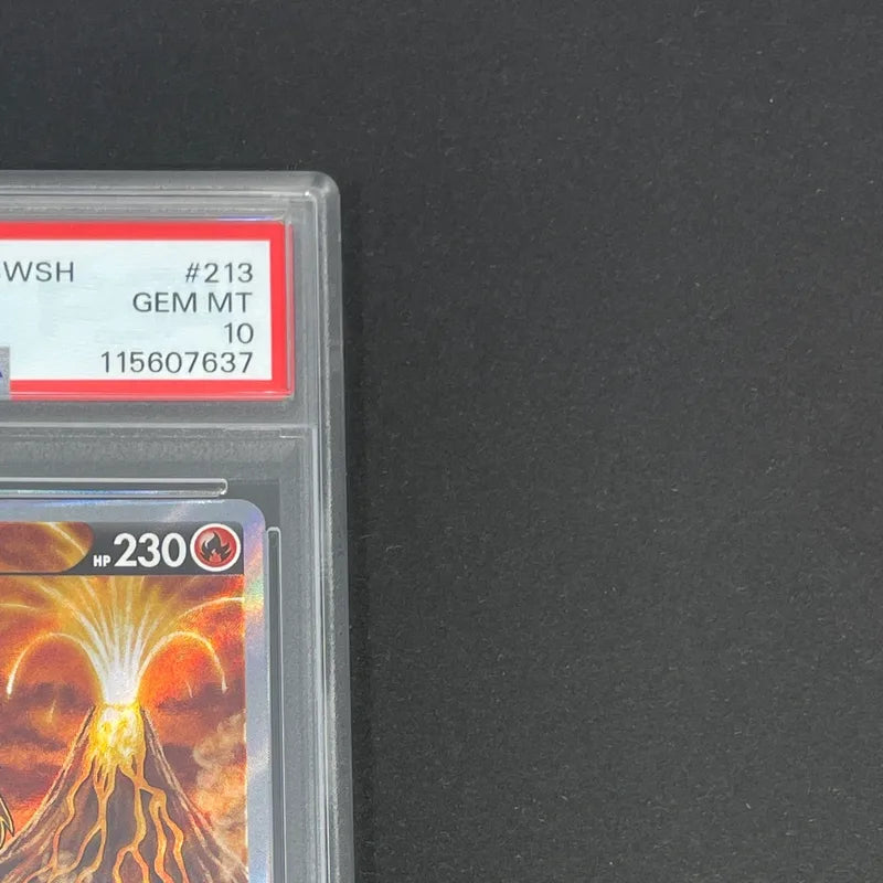 Entei V SAR 213/172 PSA10  Pokemon card VSTAR Universe s12a (1.NM)
