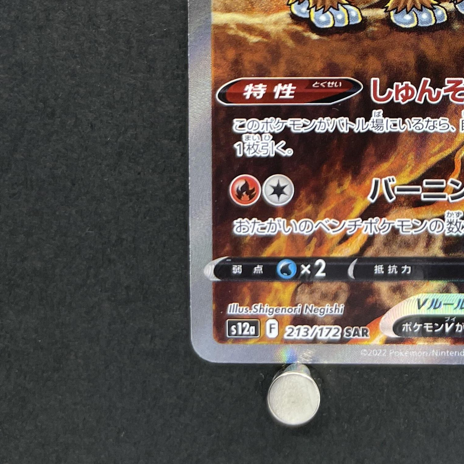Entei V SAR 213/172 Pokemon card VSTAR Universe s12a (1.NM)