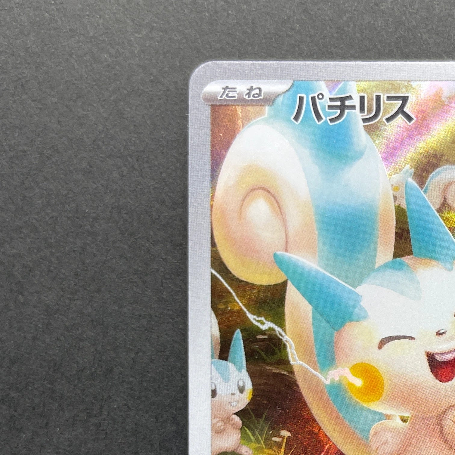 Pachirisu AR 084/078 Pokemon card Violet ex sv1v (1.NM)