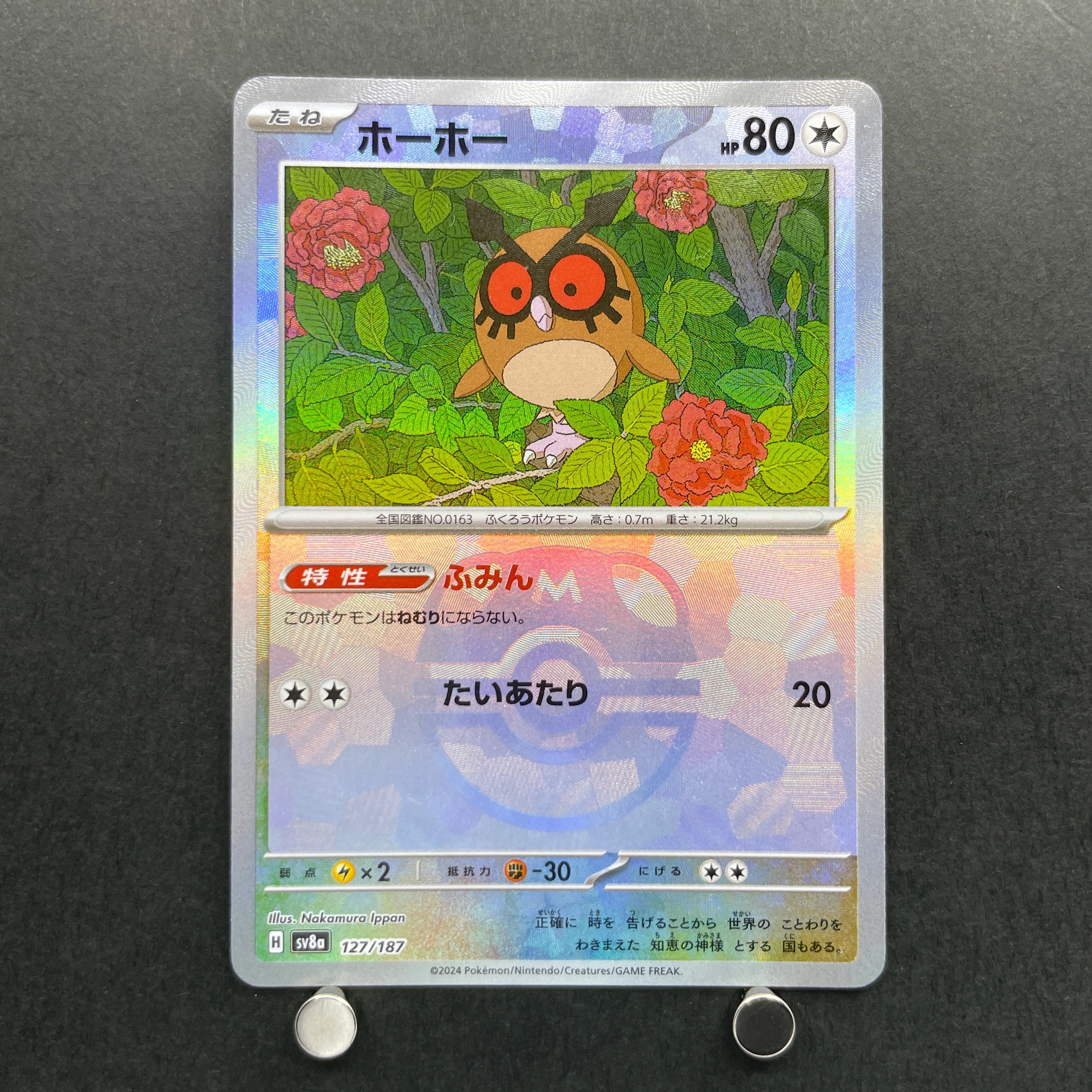 Hoothoot Master ball 127/187 Pokemon card Terastal Fest ex sv8a (1.NM)