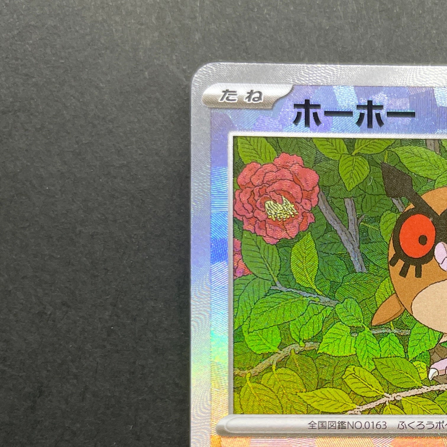 Hoothoot Master ball 127/187 Pokemon card Terastal Fest ex sv8a (1.NM)