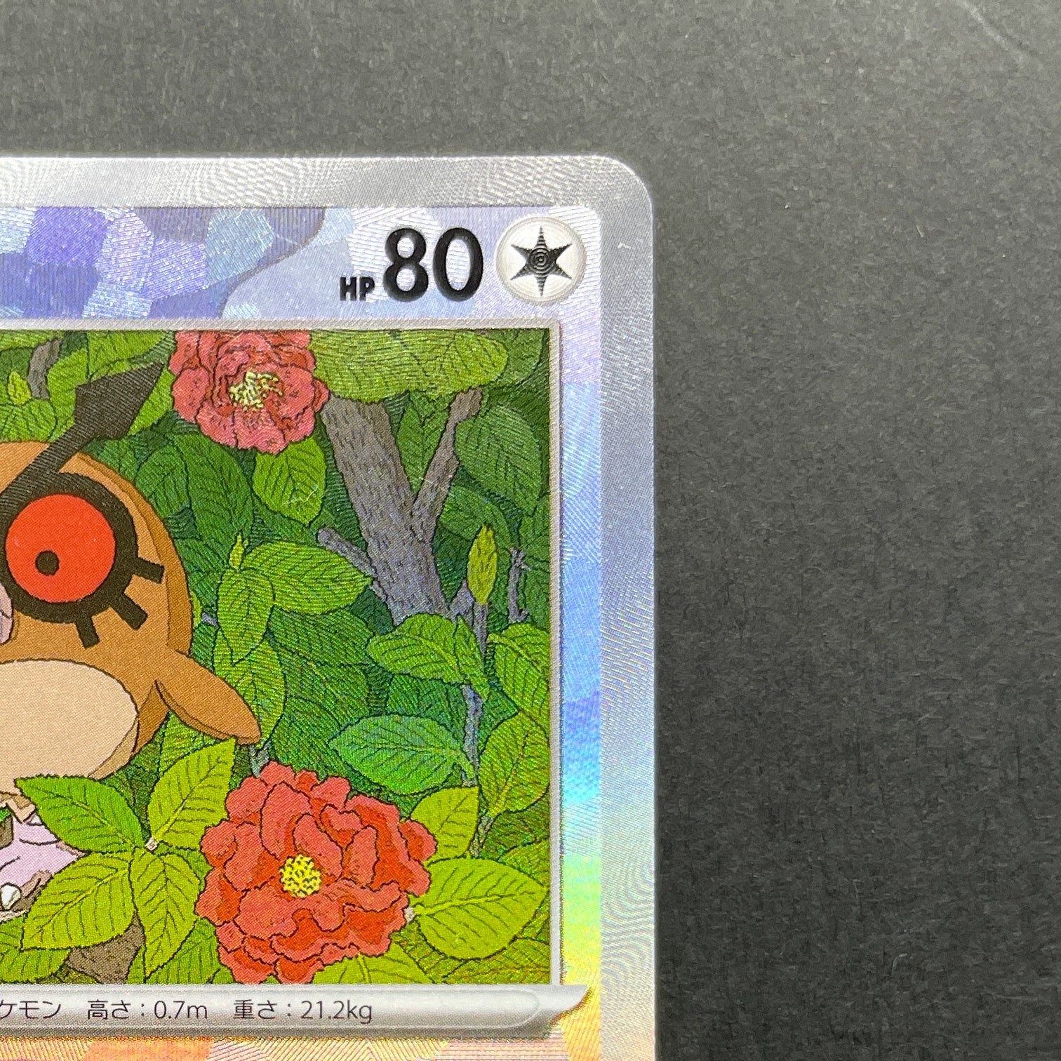 Hoothoot Master ball 127/187 Pokemon card Terastal Fest ex sv8a (1.NM)
