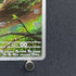 Chespin AR 084/083 Pokemon card Ninja Spinner M4 (1.NM)