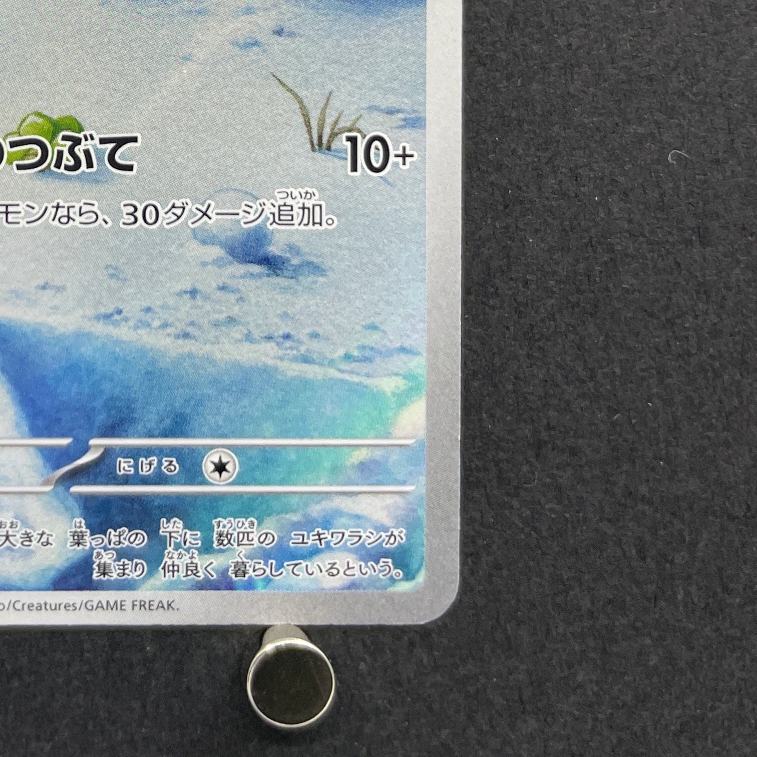 Snorunt AR 063/062 Pokemon card Raging Surf sv3a (1.NM)