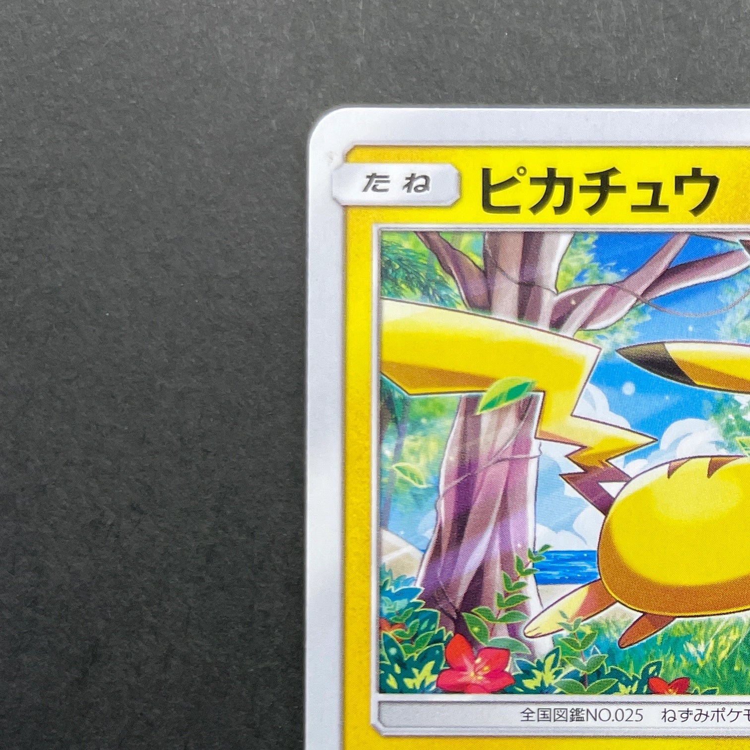 Pikachu 114/SM-P Pokemon card Promo (2.LP)