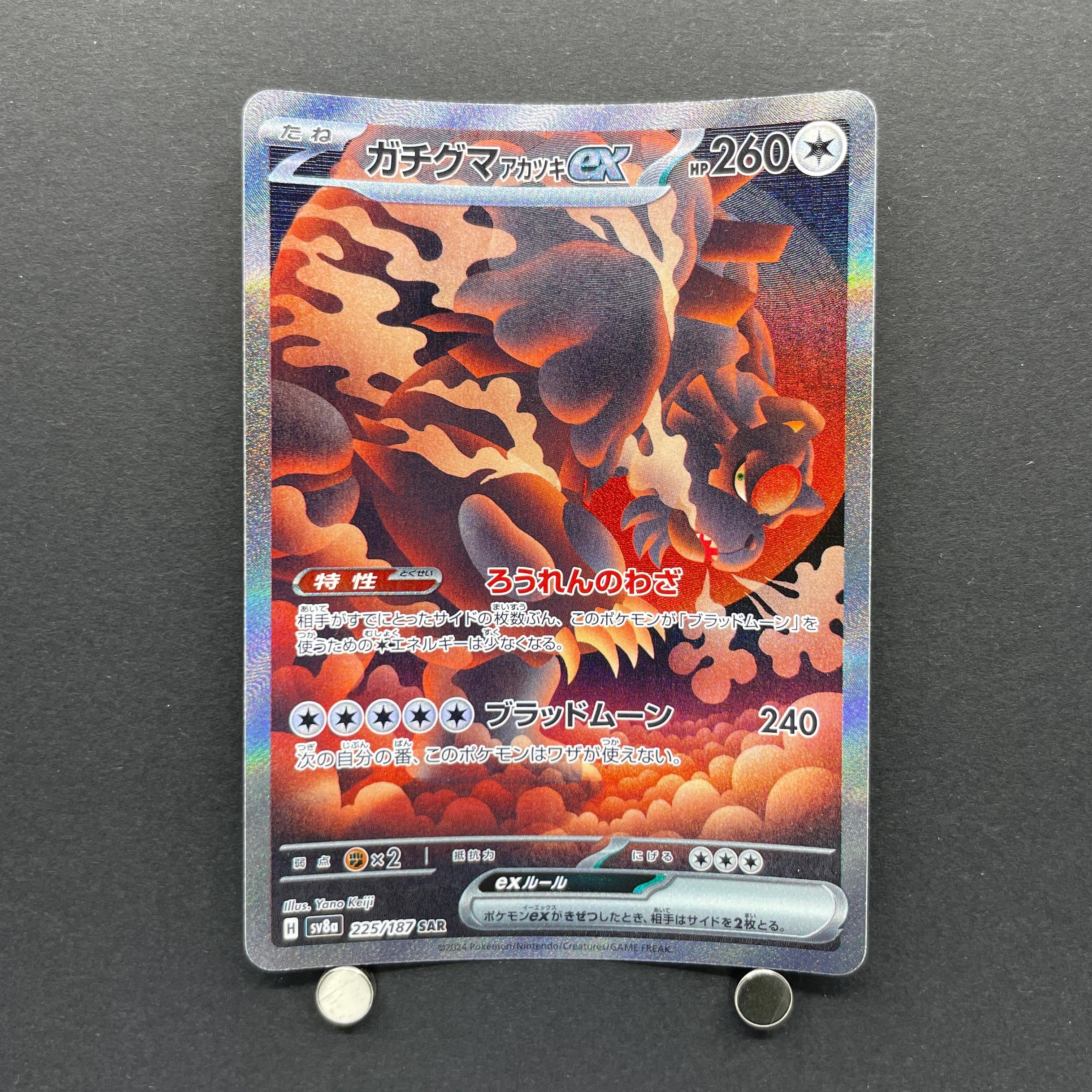Bloodmoon Ursaluna ex SAR 225/187 Pokemon card Terastal Fest ex sv8a (1.NM)