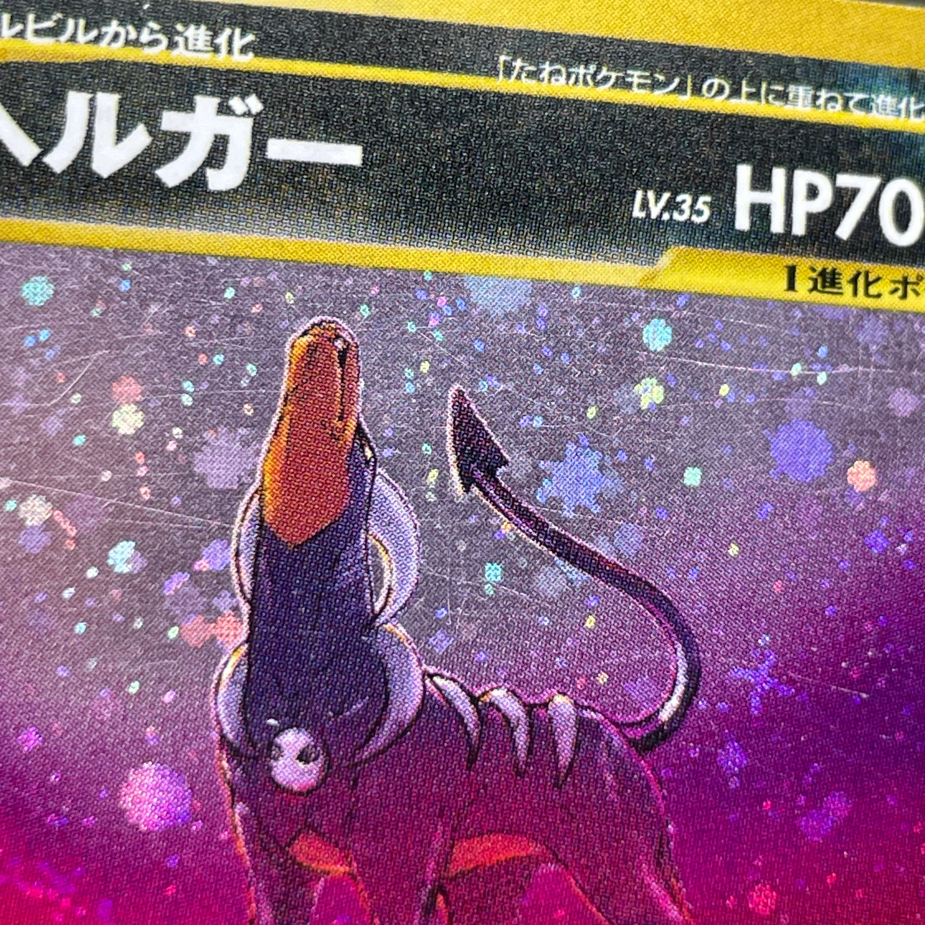 Houndoom R No. 229 Old Pokemon card (3.MP)