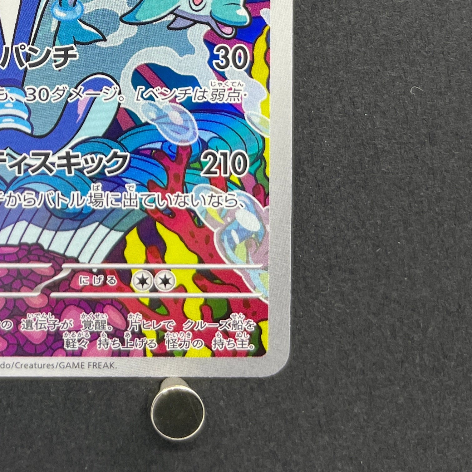 Palafin AR 111/108 Pokemon card Ruler of the Black Flame sv3 (1.NM)