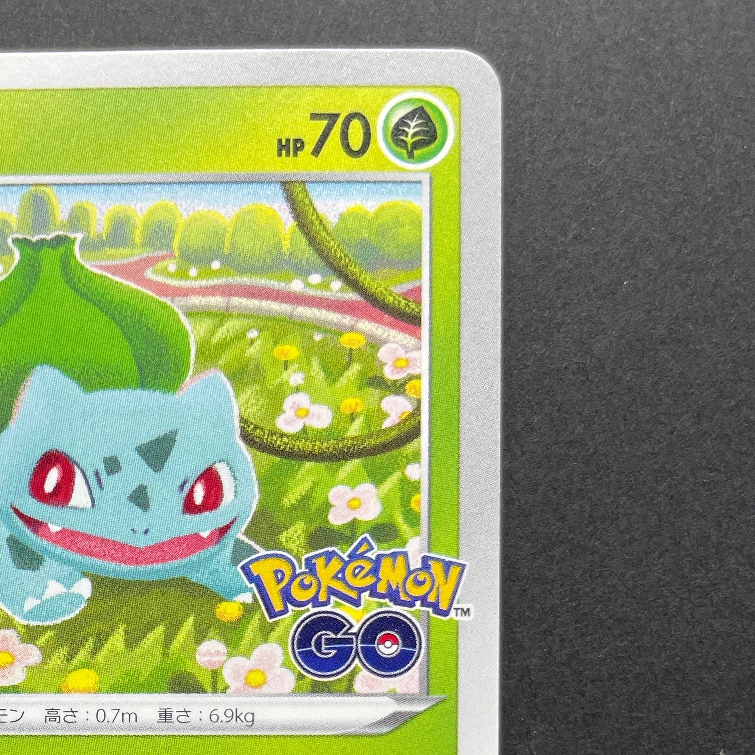 Bulbasaur 287/S-P Pokemon card Promo (1.NM)