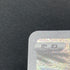 Riolu AR 201/172 Pokemon card VSTAR Universe s12a (2.LP)