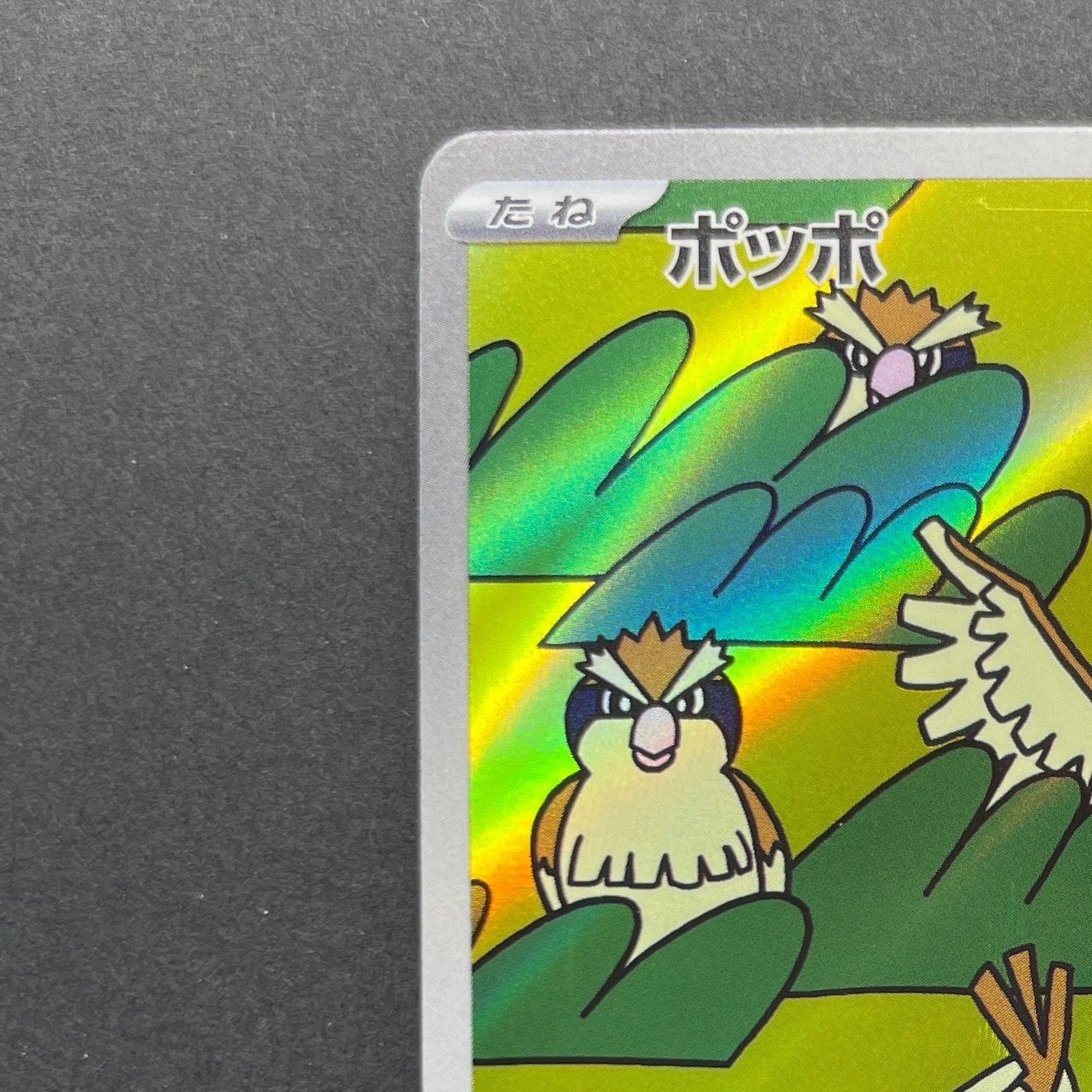 Pidgey AR 118/108 Pokemon card Ruler of the Black Flame sv3 (1.NM)