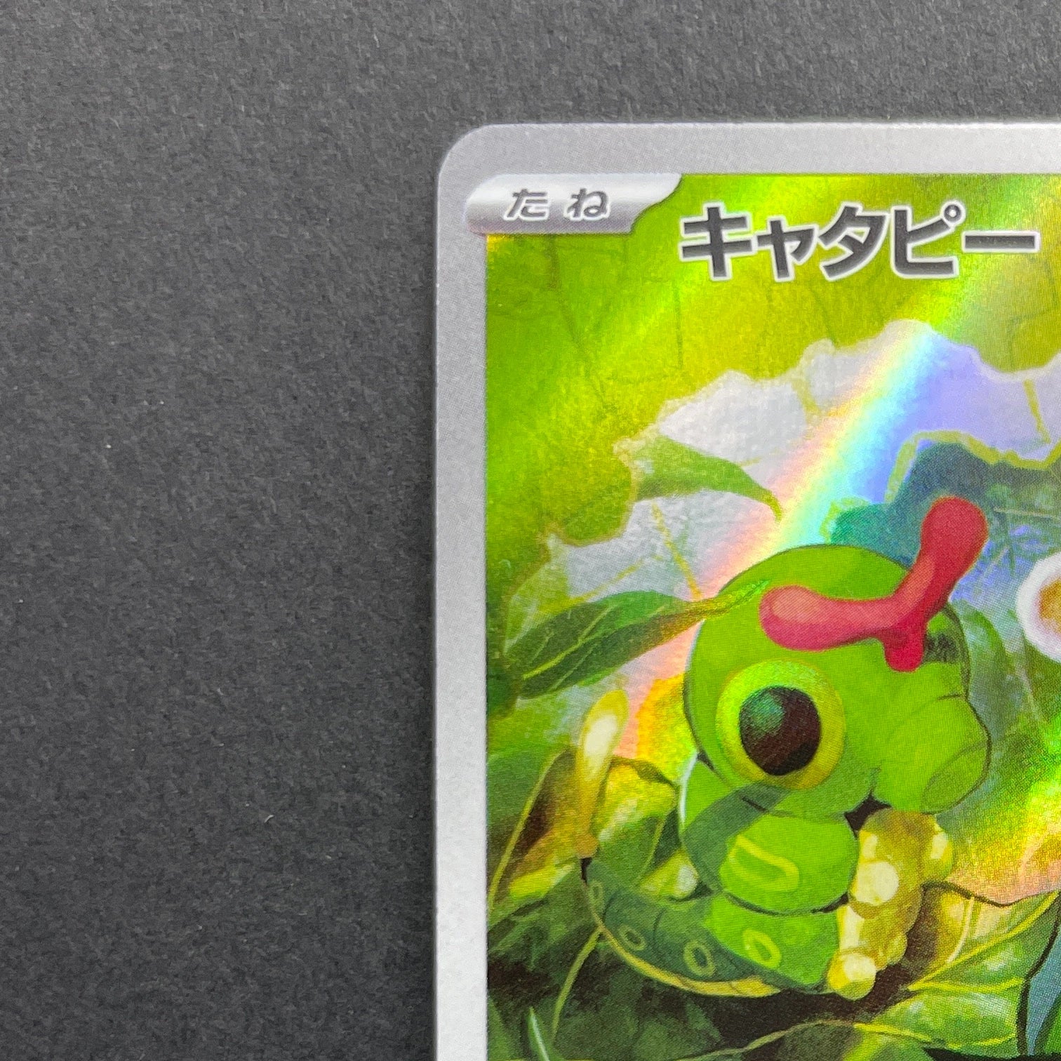 Caterpie AR 172/165 Pokemon card Pokemon 151 sv2a (1.NM)