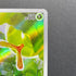 Caterpie AR 172/165 Pokemon card Pokemon 151 sv2a (1.NM)