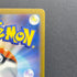 Iron Bundle AR 071/066 Pokemon card Future Flash sv4m (1.NM)