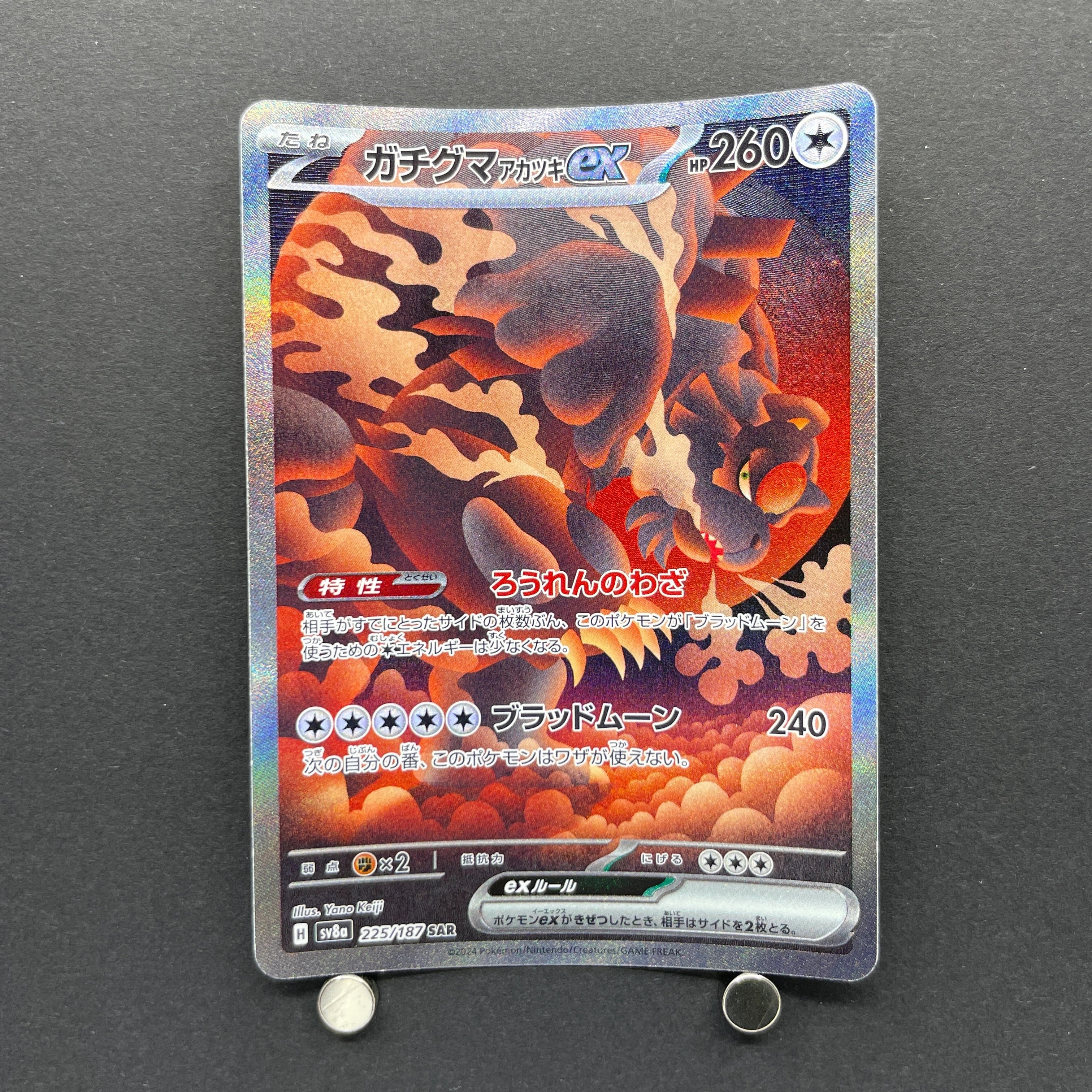 Bloodmoon Ursaluna ex SAR 225/187 Pokemon card Terastal Fest ex sv8a (1.NM)