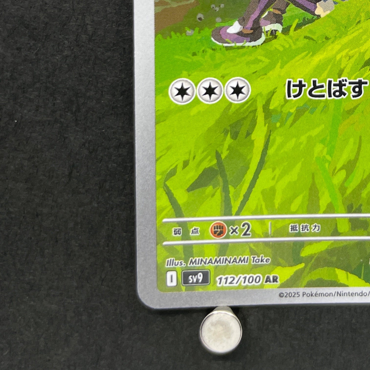Hop's Wooloo AR 112/100 Pokemon card Battle Partners sv9 (2.LP)