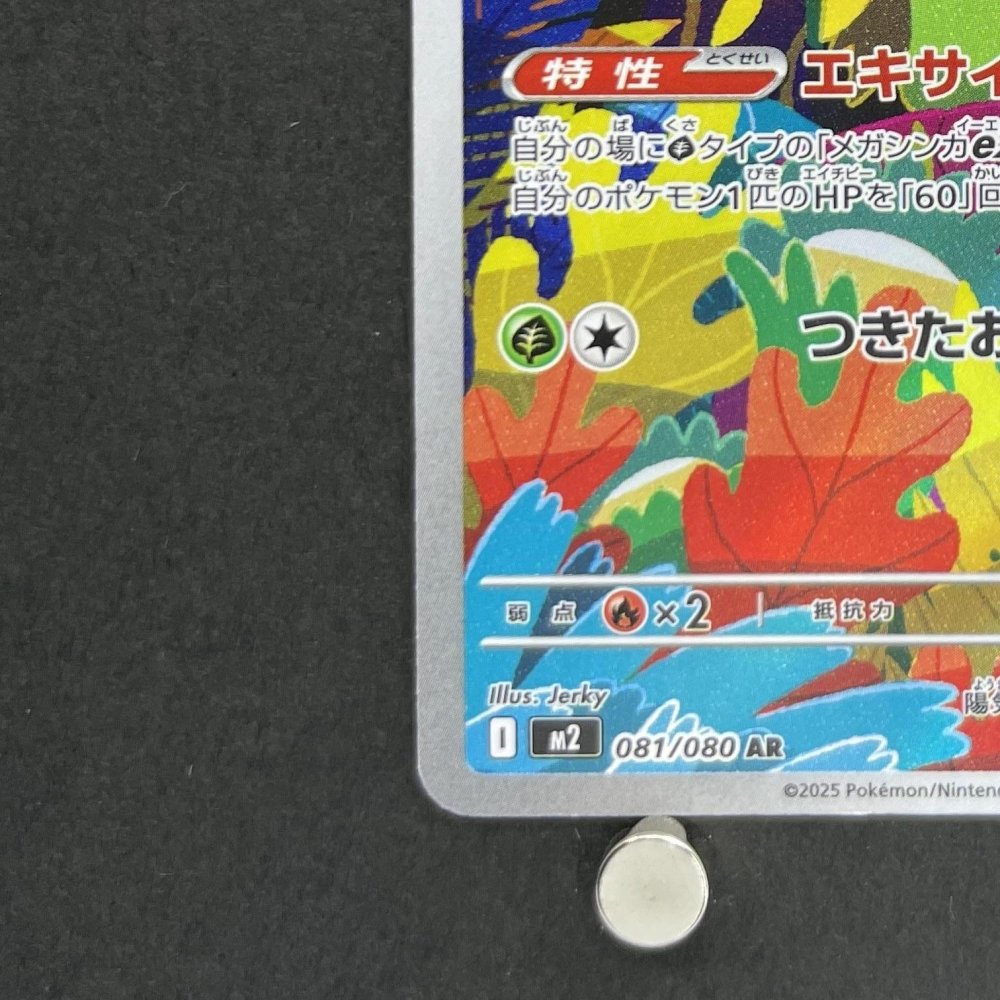 Ludicolo AR 081/080 Pokemon card Inferno X M2 (1.NM) - JariseStore