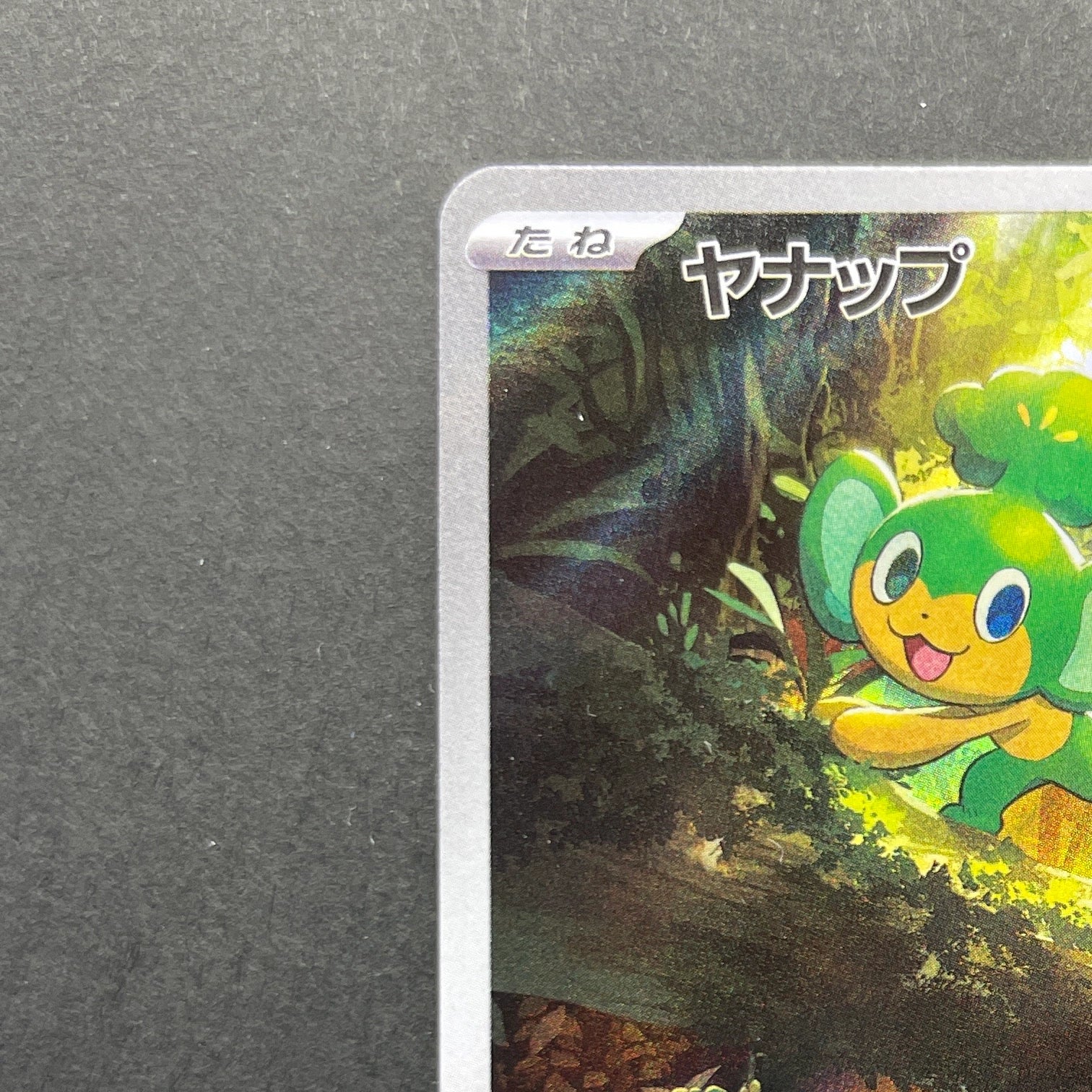 Pansage AR 089/086 Pokemon card Black Bolt sv11B (1.NM)