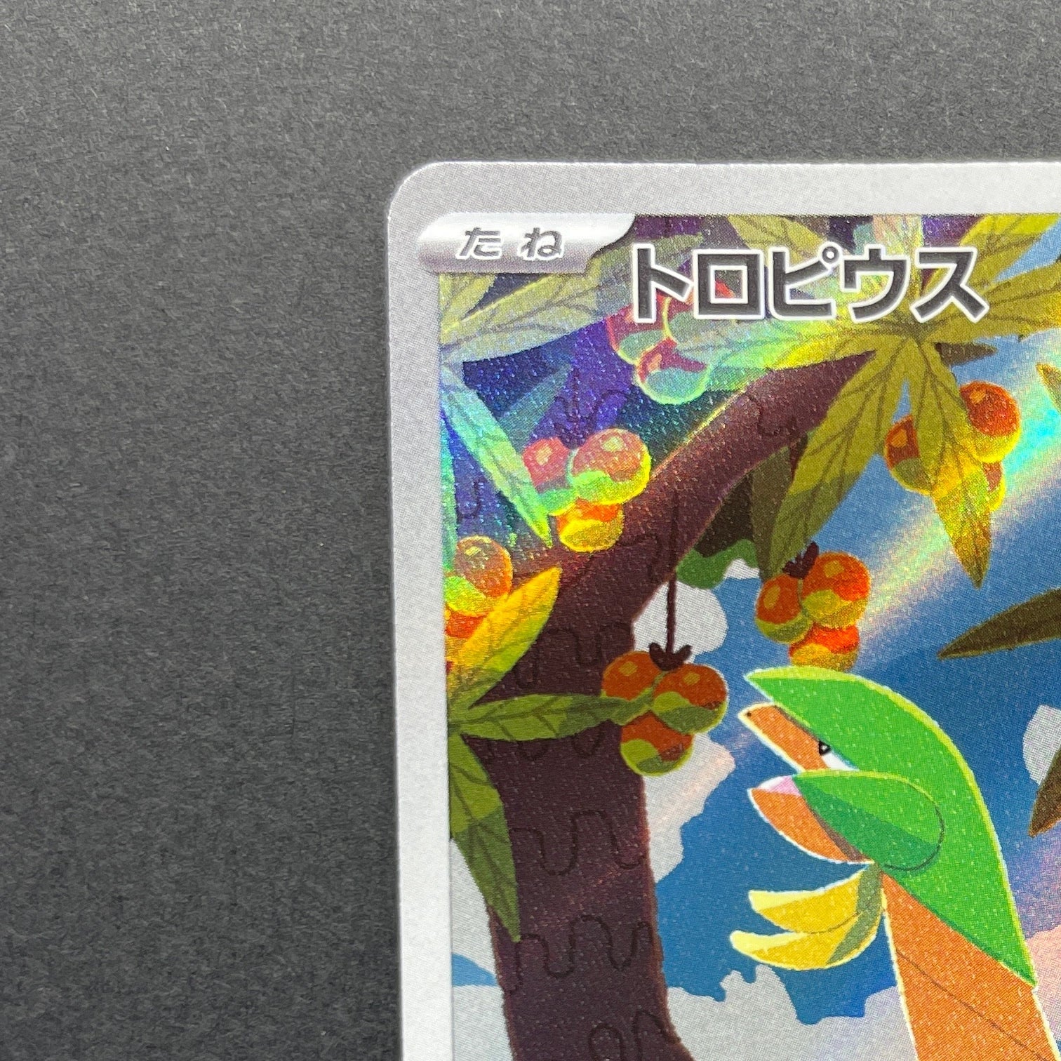 Tropius AR 074/073 Pokemon card Triplet Beat sv1a (1.NM)
