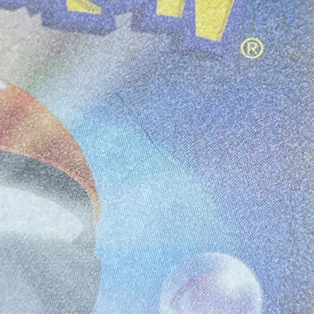 Palafin ex SAR 207/187 Pokemon card Terastal Fest ex sv8a (2.LP) - JariseStore