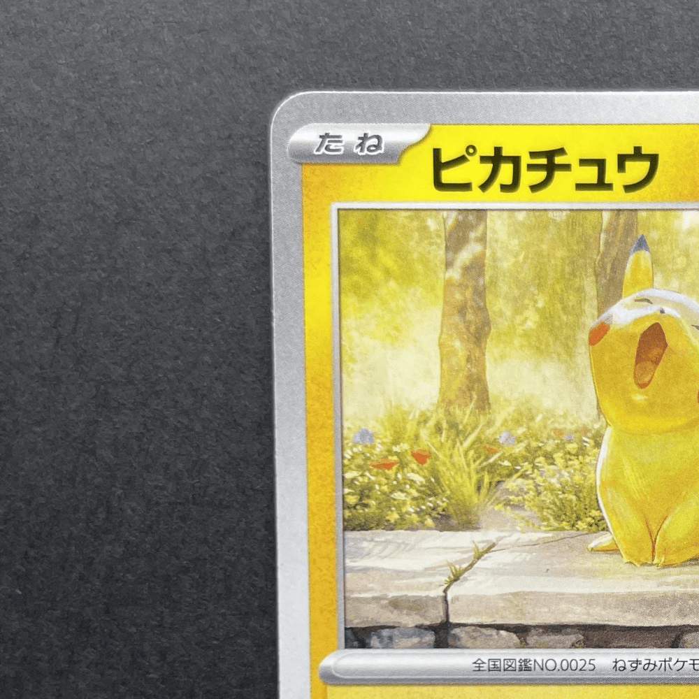 Pikachu 242/SV - P Pokemon card Promo (1.NM) - JariseStore
