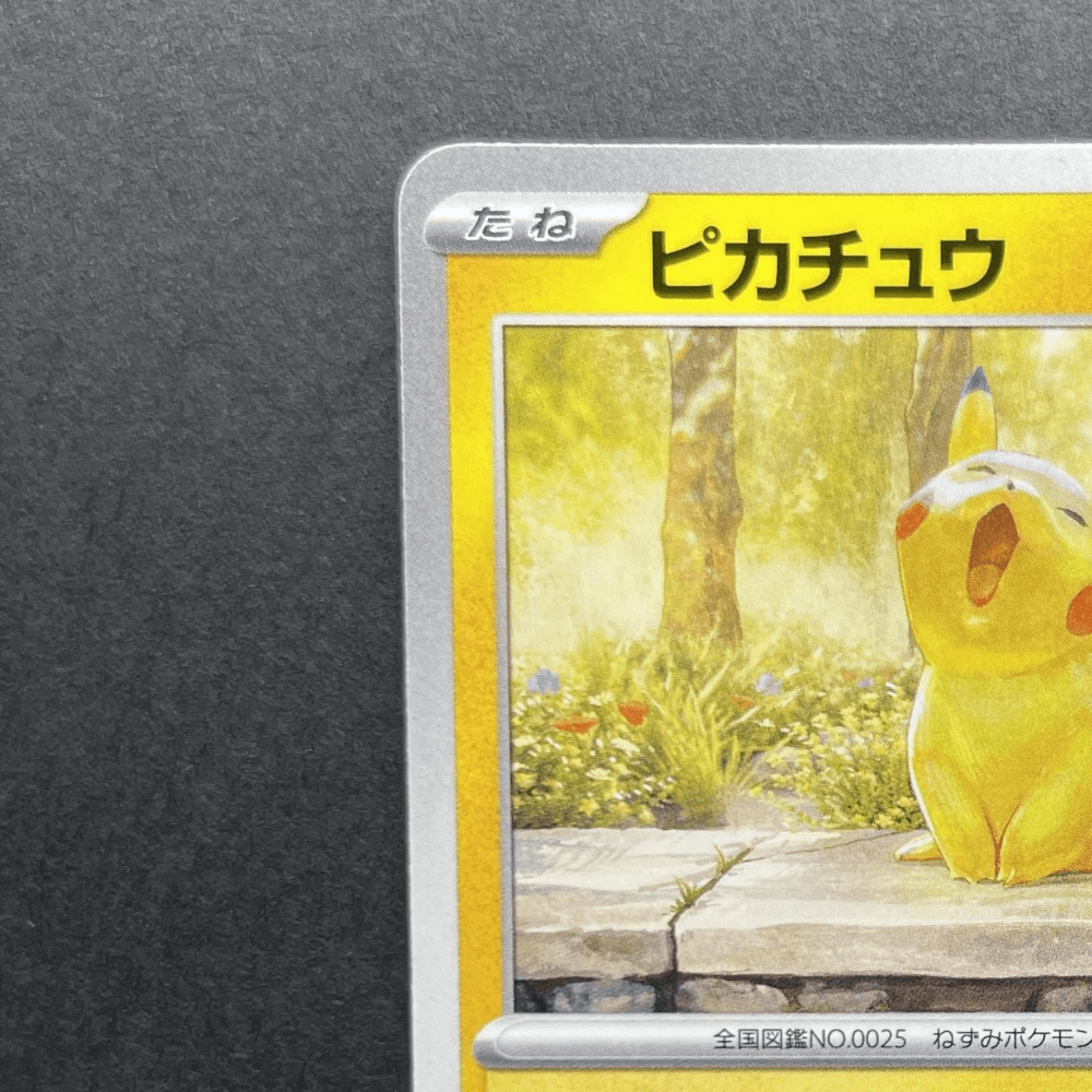 Pikachu 242/SV - P Pokemon card Promo (1.NM) - JariseStore