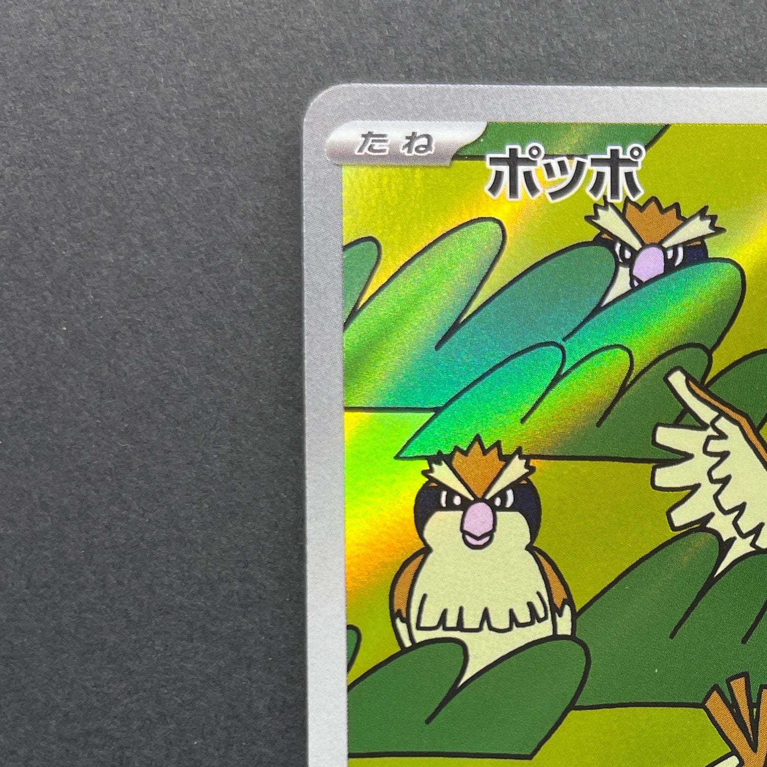 Pidgey AR 118/108 Pokemon card Ruler of the Black Flame sv3 (2.LP)