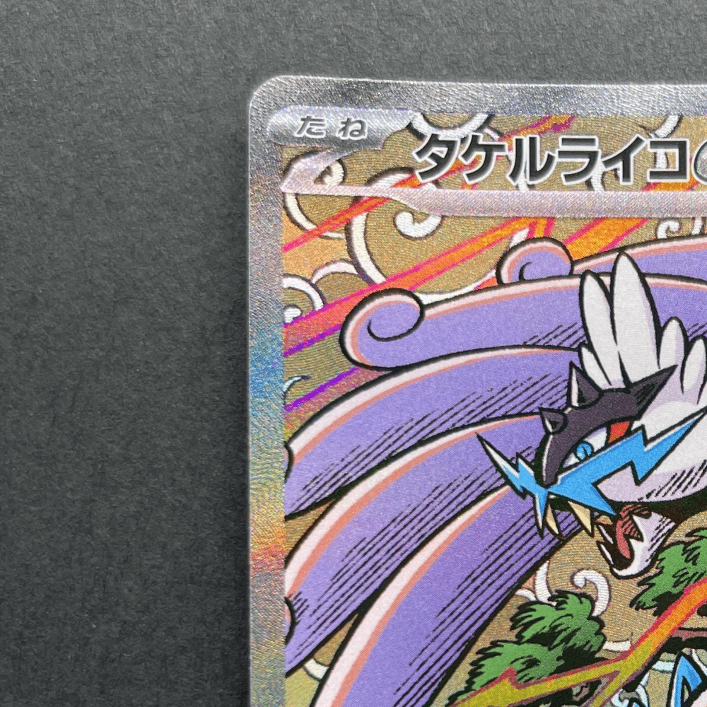 Raging Bolt ex SAR 222/187 Pokemon card Terastal Fest ex sv8a (1.NM) - JariseStore