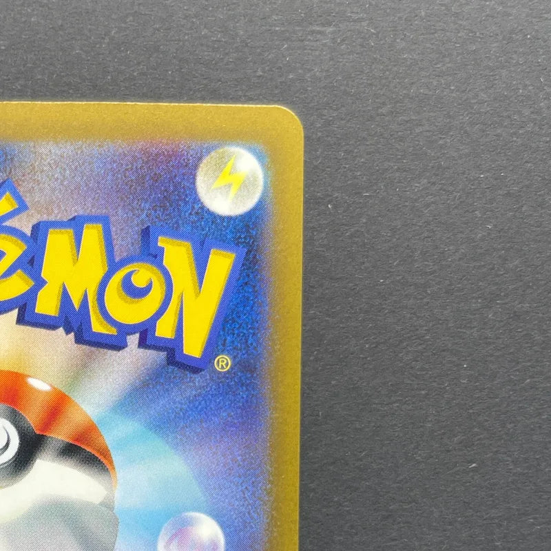 Morpeko AR 076/066 Pokemon card Ancient Roar sv4k (1.NM)