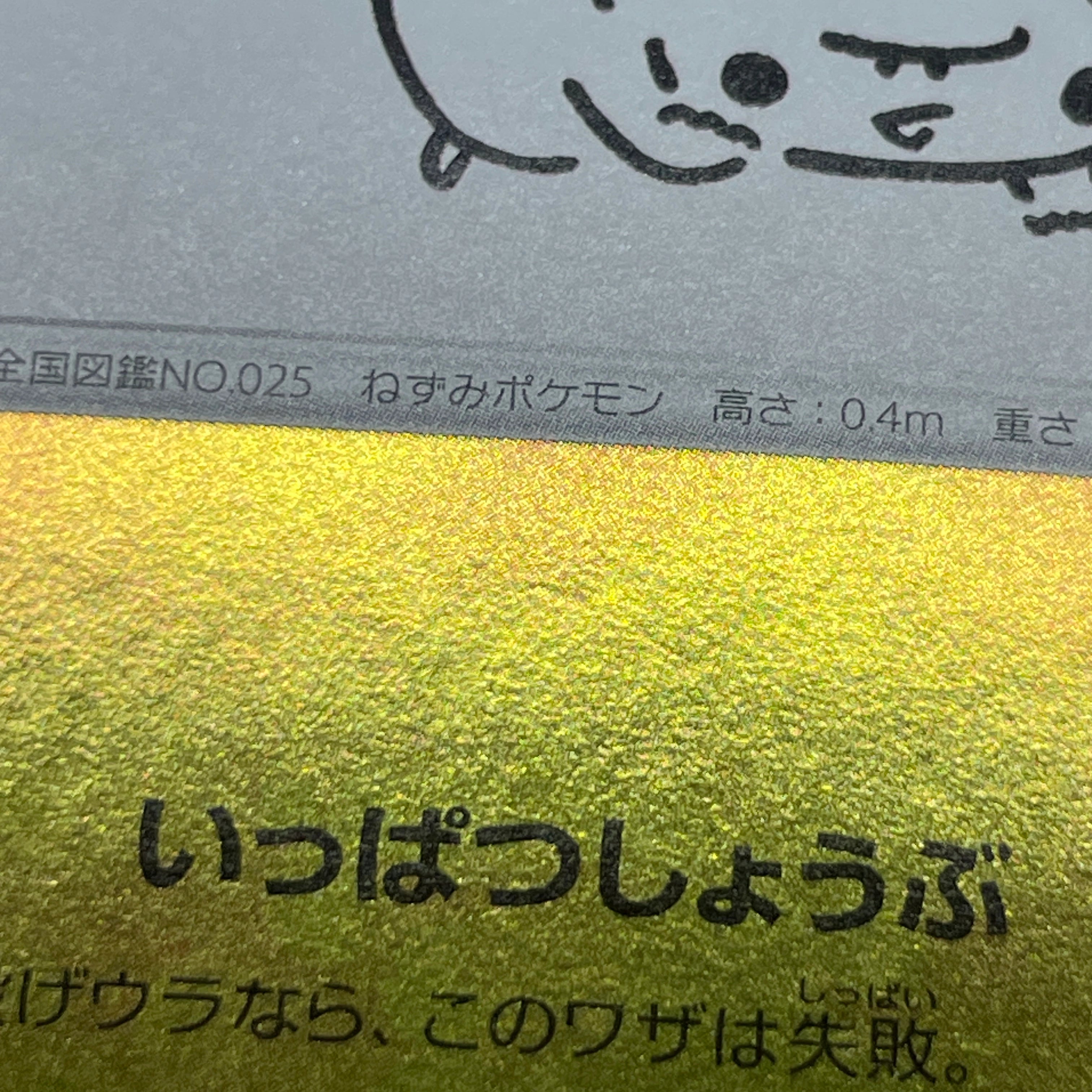 Pikachu 208/S-P Pokemon card Promo (2.LP)