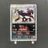 Team Magma's Mightyena C 019/034 Pokemon card Team Magma vs Team Aqua - Double Crisis CP1 Japanese (2.LP) - JariseStore