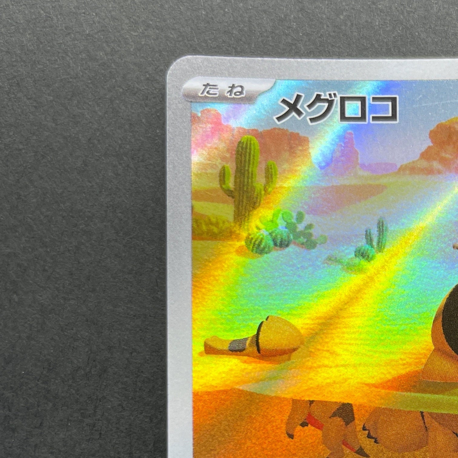 Sandile AR 141/086 Pokemon card Black Bolt sv11B (1.NM)