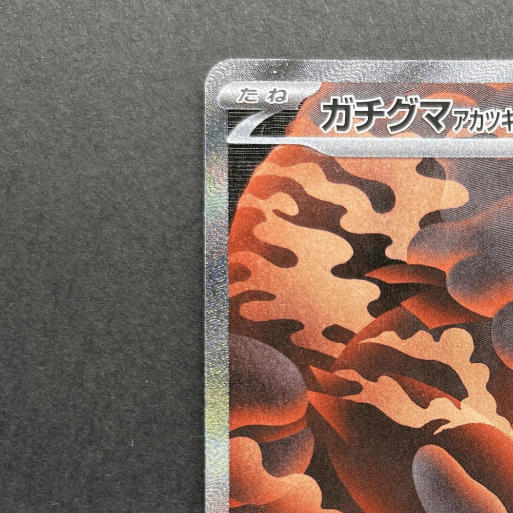 Ursaluna (Bloodmoon) ex SAR 225/187 Pokemon card Terastal Fest ex sv8a (1.NM) - JariseStore