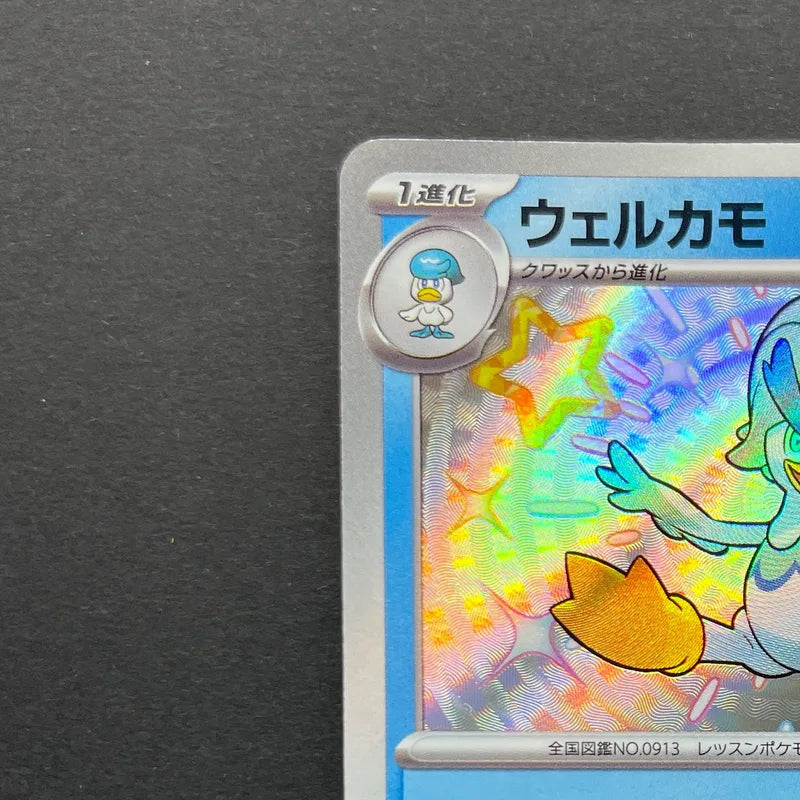 Quaxwell S 225/190 Pokemon card Shiny Treasure ex sv4a (1.NM)