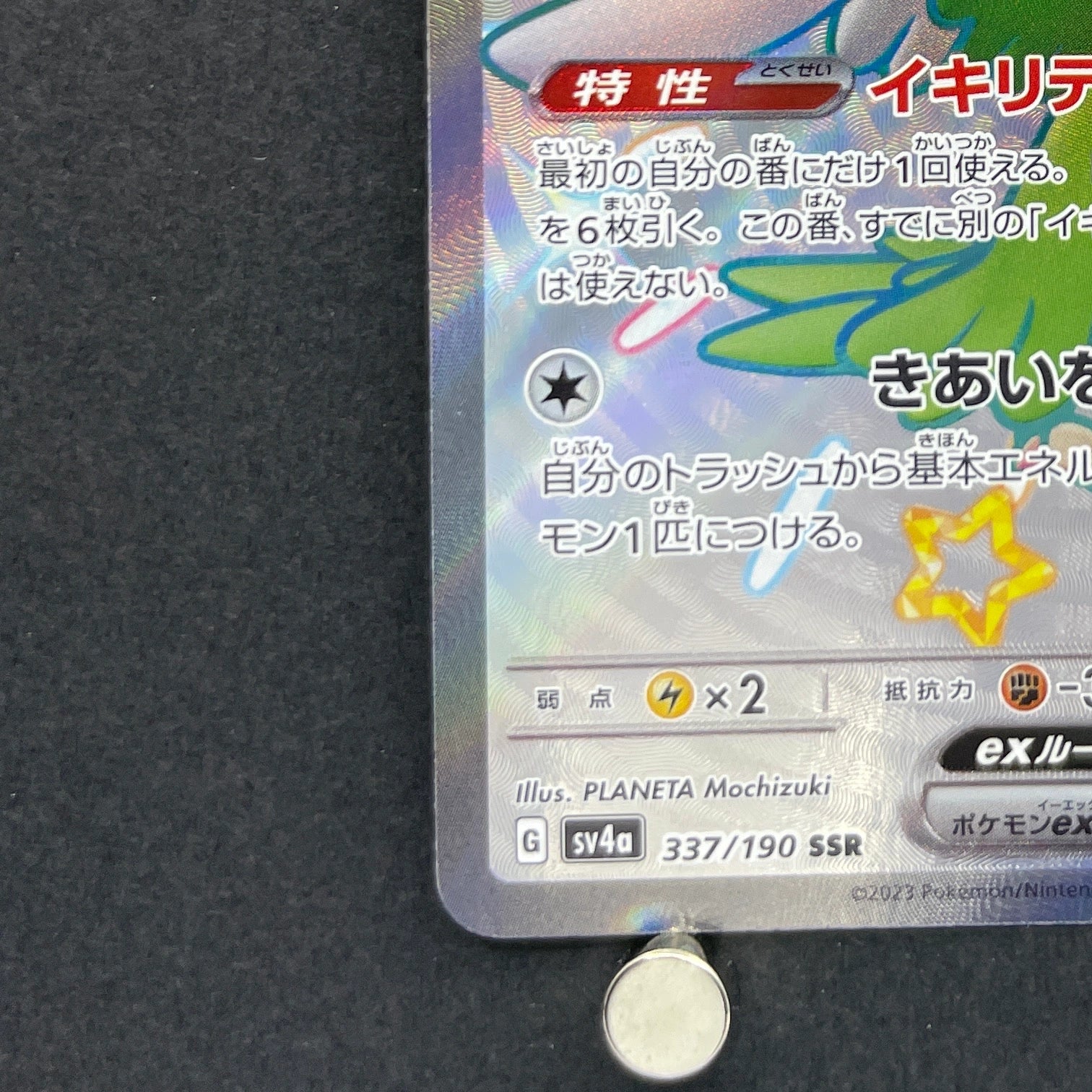 Squawkabilly ex SSR 337/190 Pokemon card Shiny Treasure ex sv4a (2.LP)