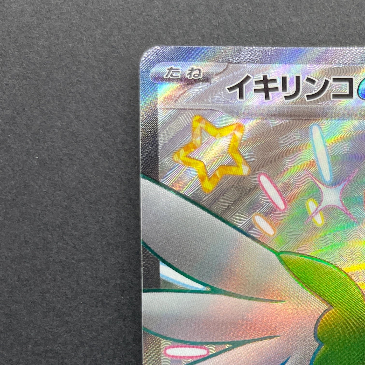 Squawkabilly ex SSR 337/190 Pokemon card Shiny Treasure ex sv4a (2.LP)